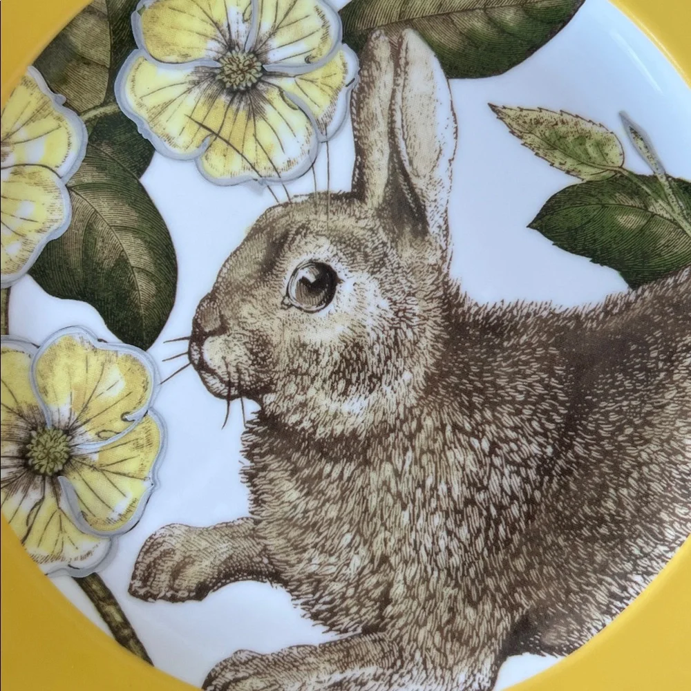 Williams Sonoma “Spring Bunny”🐇4 Plate Set